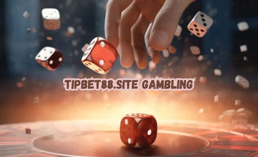 TipBet88.site Gambling