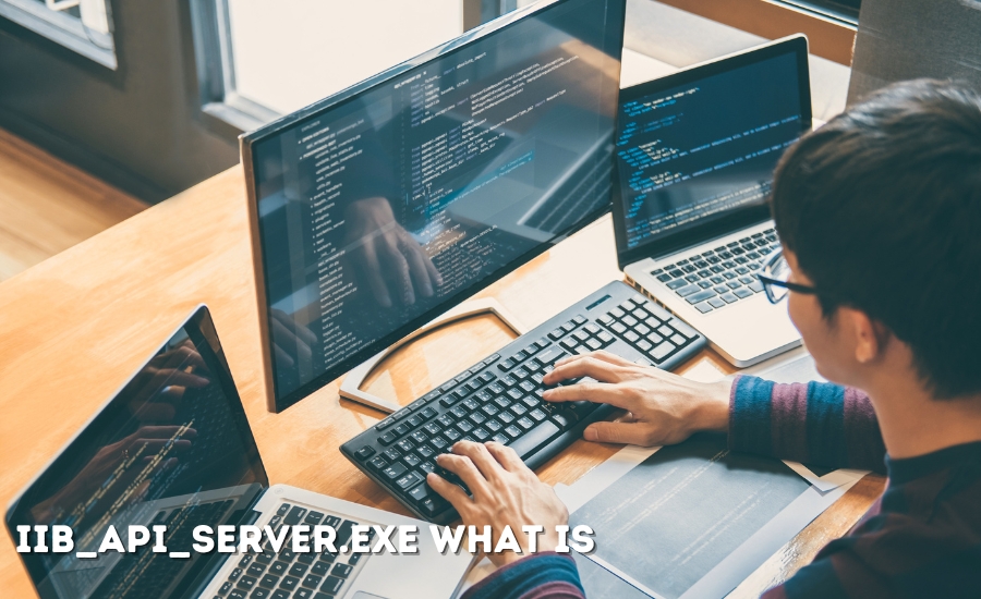 iib_api_server.exe what is