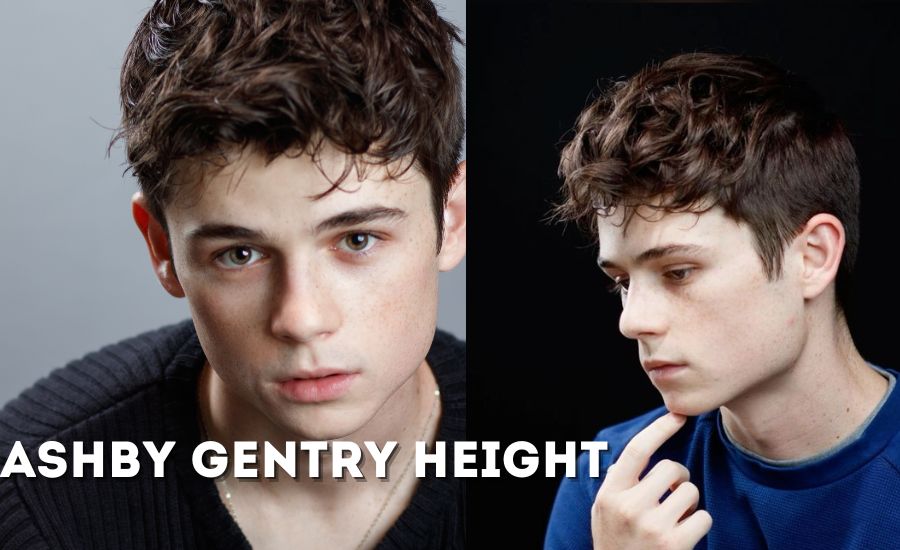 ashby gentry height