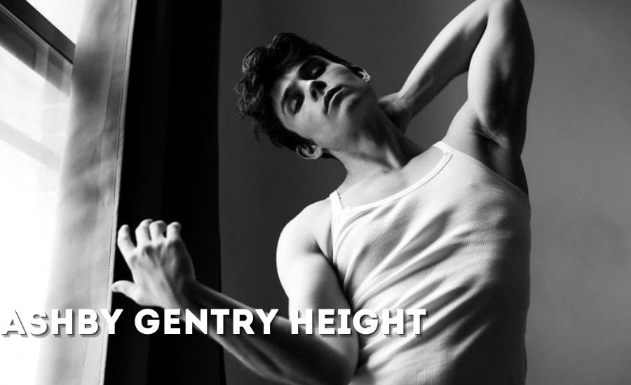 ashby gentry height